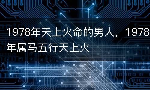 1978年天上火命的男人，1978年属马五行天上火