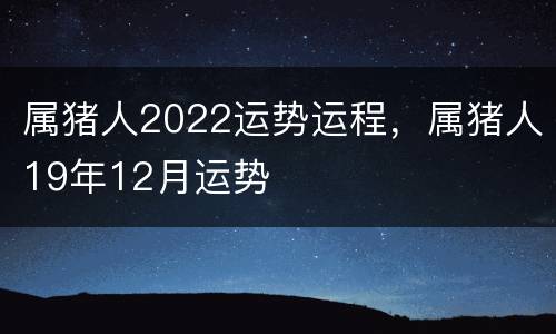 属猪人2022运势运程，属猪人19年12月运势