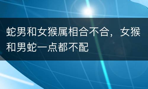 蛇男和女猴属相合不合，女猴和男蛇一点都不配