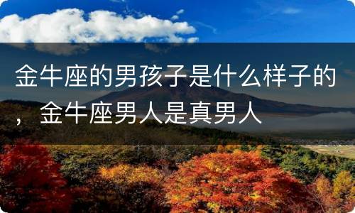 金牛座的男孩子是什么样子的，金牛座男人是真男人