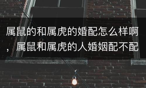 属鼠的和属虎的婚配怎么样啊，属鼠和属虎的人婚姻配不配