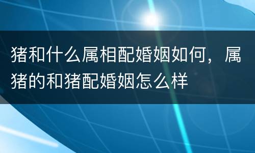 猪和什么属相配婚姻如何，属猪的和猪配婚姻怎么样