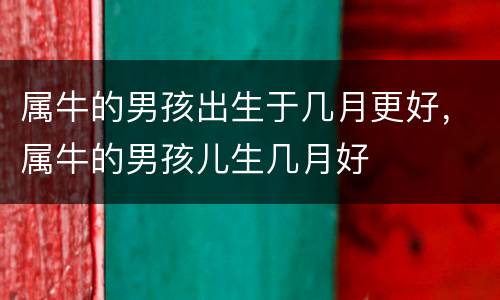 属牛的男孩出生于几月更好，属牛的男孩儿生几月好