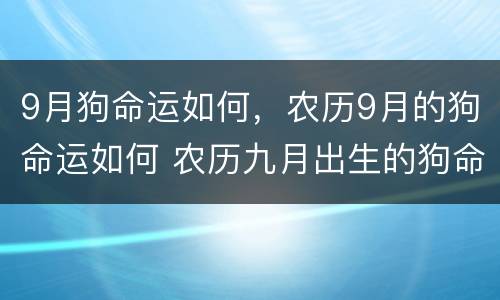9月狗命运如何，农历9月的狗命运如何 农历九月出生的狗命运如何