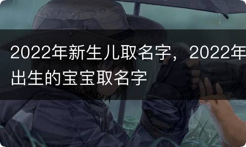 2022年新生儿取名字，2022年出生的宝宝取名字