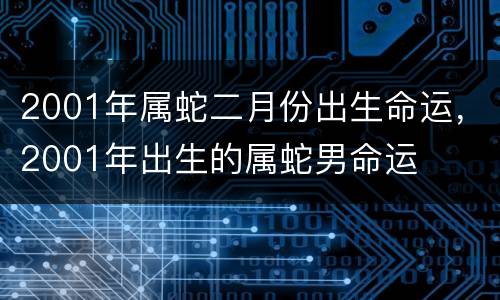 2001年属蛇二月份出生命运，2001年出生的属蛇男命运