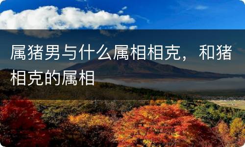 属猪男与什么属相相克，和猪相克的属相