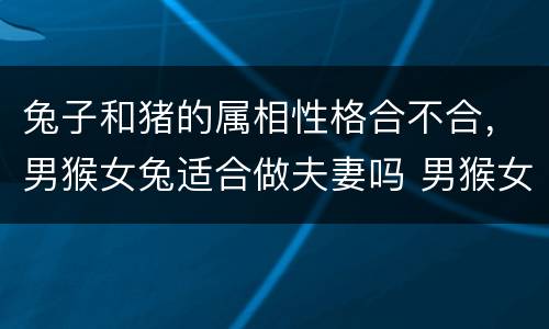 兔子和猪的属相性格合不合，男猴女兔适合做夫妻吗 男猴女兔婚姻