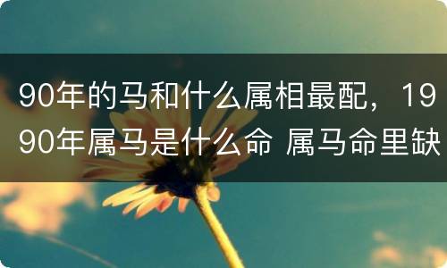 90年的马和什么属相最配，1990年属马是什么命 属马命里缺