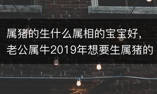 属猪的生什么属相的宝宝好，老公属牛2019年想要生属猪的宝宝