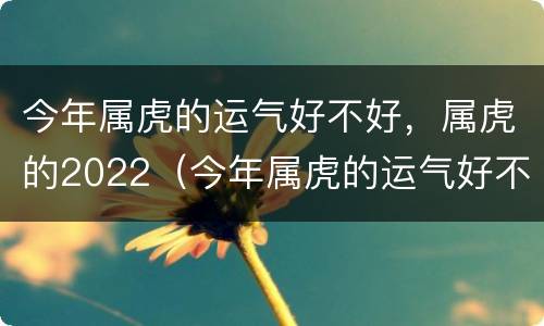 今年属虎的运气好不好，属虎的2022（今年属虎的运气好不好?）