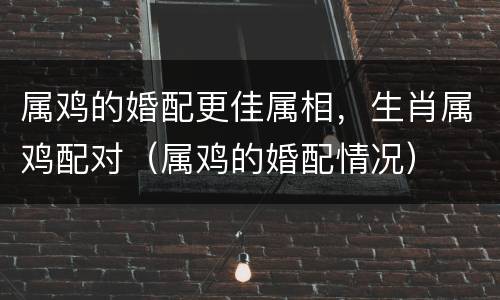 属鸡的婚配更佳属相，生肖属鸡配对（属鸡的婚配情况）