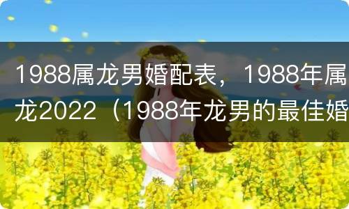 1988属龙男婚配表，1988年属龙2022（1988年龙男的最佳婚配）