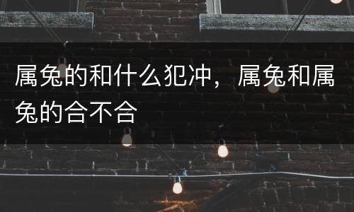 属兔的和什么犯冲，属兔和属兔的合不合