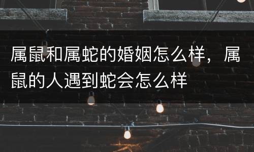 属鼠和属蛇的婚姻怎么样，属鼠的人遇到蛇会怎么样