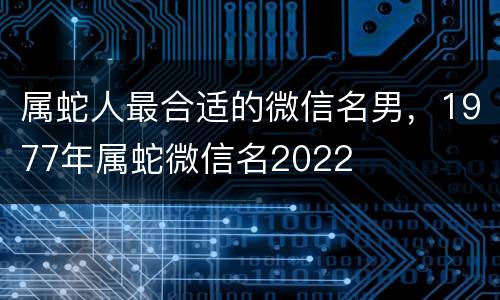 属蛇人最合适的微信名男，1977年属蛇微信名2022