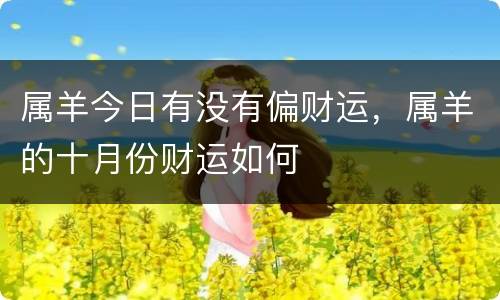 属羊今日有没有偏财运，属羊的十月份财运如何