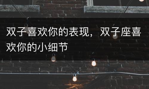 双子喜欢你的表现，双子座喜欢你的小细节