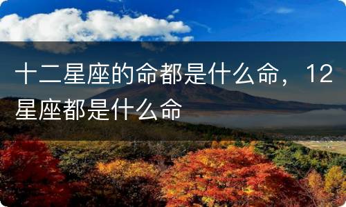 十二星座的命都是什么命，12星座都是什么命