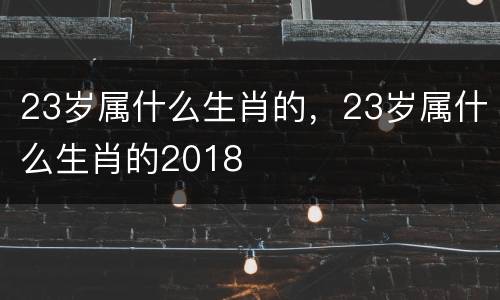 23岁属什么生肖的，23岁属什么生肖的2018
