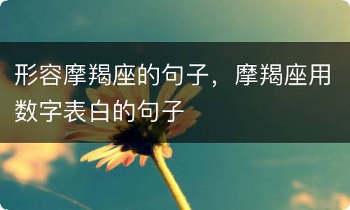 形容摩羯座的句子，摩羯座用数字表白的句子