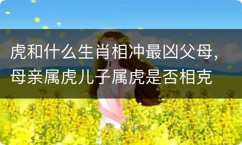 虎和什么生肖相冲最凶父母，母亲属虎儿子属虎是否相克