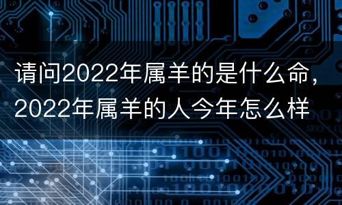 请问2022年属羊的是什么命，2022年属羊的人今年怎么样