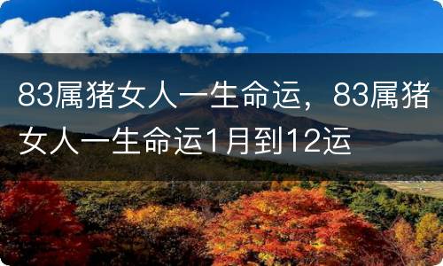 83属猪女人一生命运，83属猪女人一生命运1月到12运