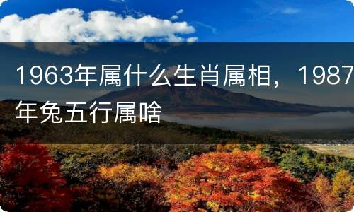 1963年属什么生肖属相，1987年兔五行属啥