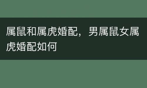 属鼠和属虎婚配，男属鼠女属虎婚配如何