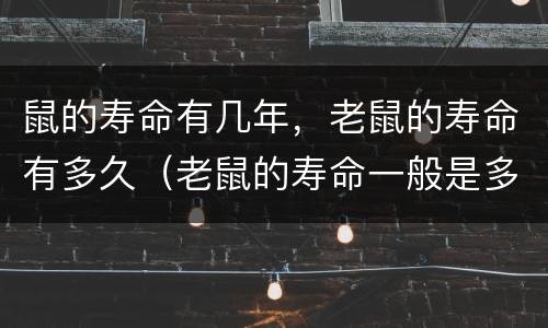 鼠的寿命有几年，老鼠的寿命有多久（老鼠的寿命一般是多少年）
