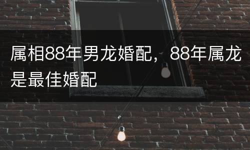 属相88年男龙婚配，88年属龙是最佳婚配