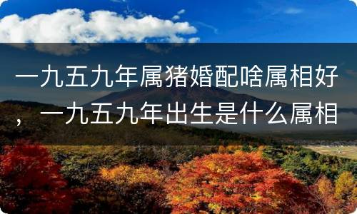一九五九年属猪婚配啥属相好，一九五九年出生是什么属相