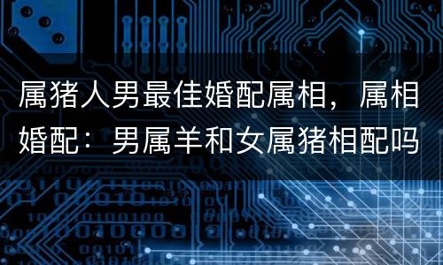 属猪人男最佳婚配属相，属相婚配：男属羊和女属猪相配吗