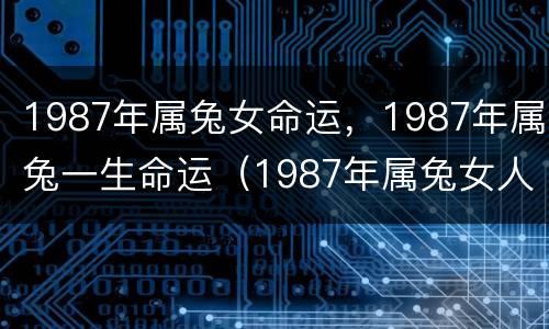 1987年属兔女命运，1987年属兔一生命运（1987年属兔女人命好吗）
