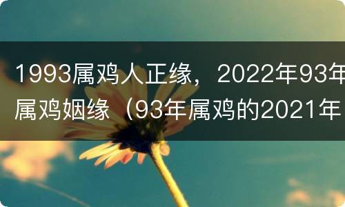 1993属鸡人正缘，2022年93年属鸡姻缘（93年属鸡的2021年姻缘怎么样）
