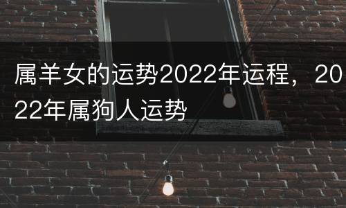 属羊女的运势2022年运程，2022年属狗人运势