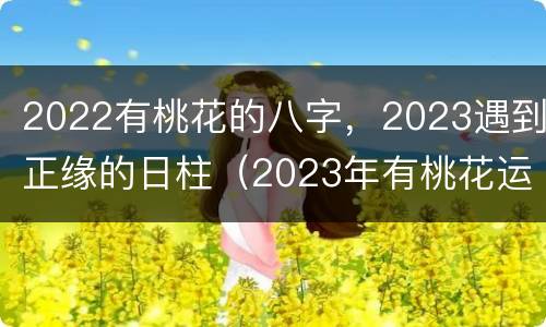 2022有桃花的八字，2023遇到正缘的日柱（2023年有桃花运的日柱）