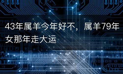 43年属羊今年好不，属羊79年女那年走大运