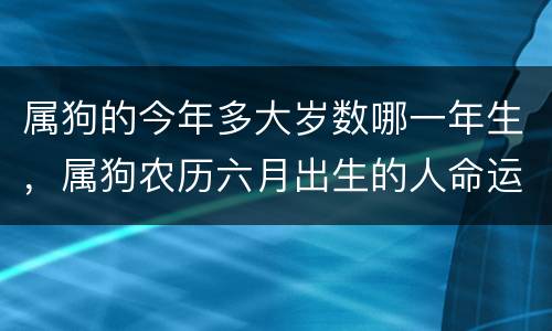 属狗的今年多大岁数哪一年生，属狗农历六月出生的人命运