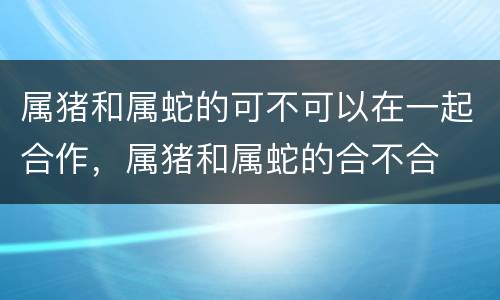 属猪和属蛇的可不可以在一起合作，属猪和属蛇的合不合