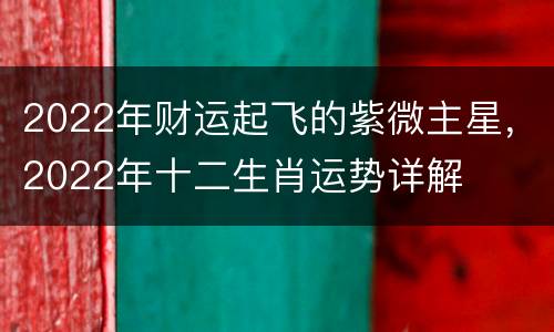 2022年财运起飞的紫微主星，2022年十二生肖运势详解