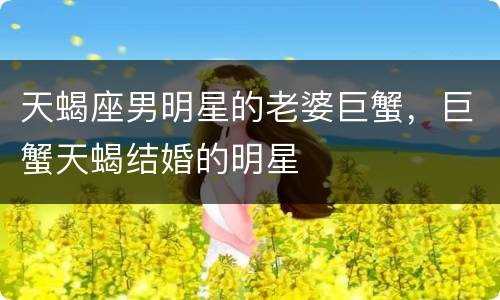 天蝎座男明星的老婆巨蟹，巨蟹天蝎结婚的明星