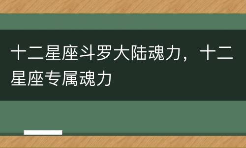十二星座斗罗大陆魂力，十二星座专属魂力
