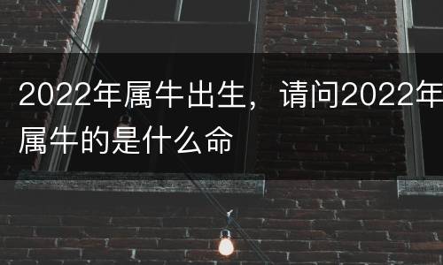 2022年属牛出生，请问2022年属牛的是什么命