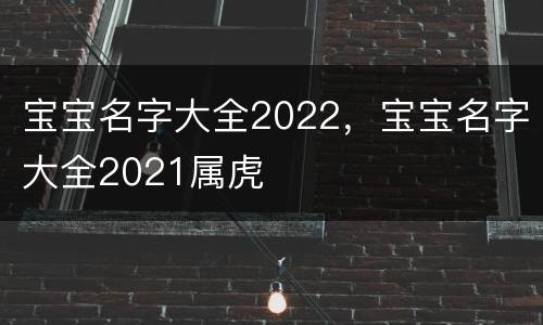 宝宝名字大全2022，宝宝名字大全2021属虎