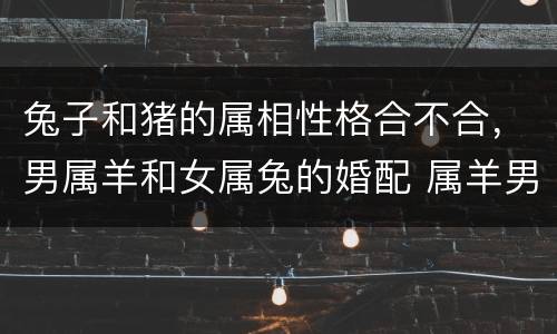 兔子和猪的属相性格合不合，男属羊和女属兔的婚配 属羊男与属兔