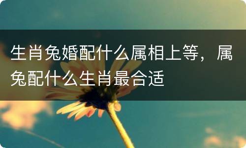 生肖兔婚配什么属相上等，属兔配什么生肖最合适