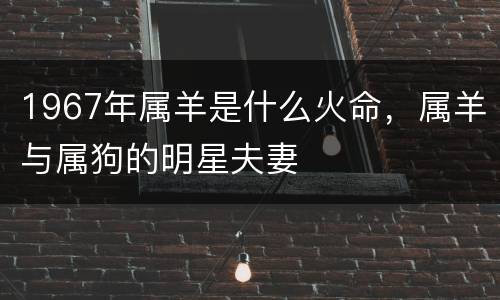 1967年属羊是什么火命，属羊与属狗的明星夫妻