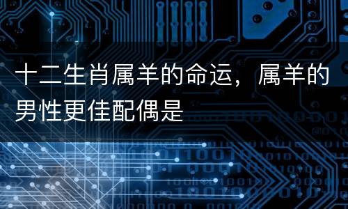 十二生肖属羊的命运，属羊的男性更佳配偶是